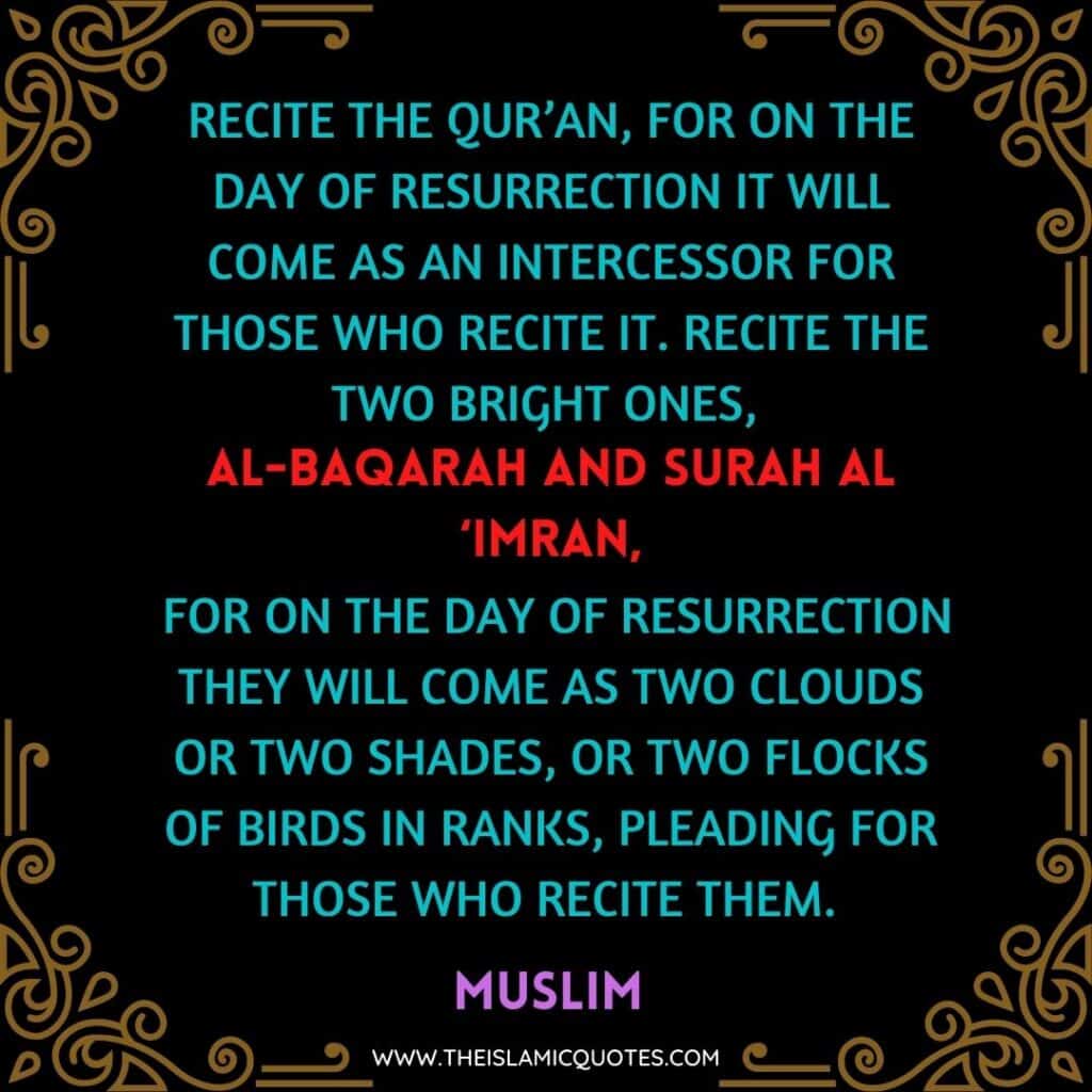10 Benefits of Surah Baqrah & Its Importance for Muslims  