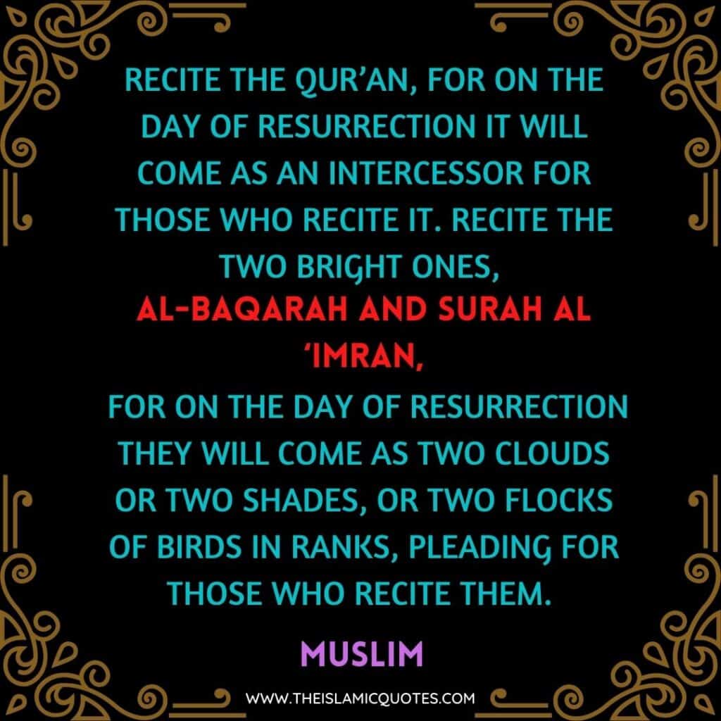 Benefits of Surah Baqrah & Its Importance for Muslims