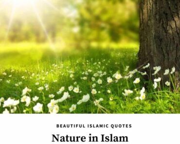 10 Islamic Quotes on Nature & The Concept of Nature in Islam  