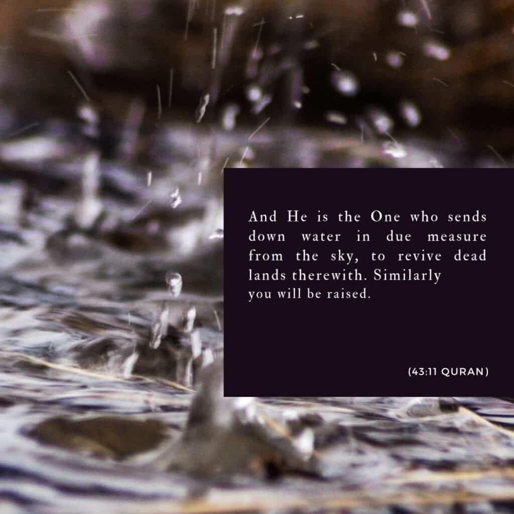 7 Duas & Sunnahs of Rain in Islam - Islamic Quotes on Rain  