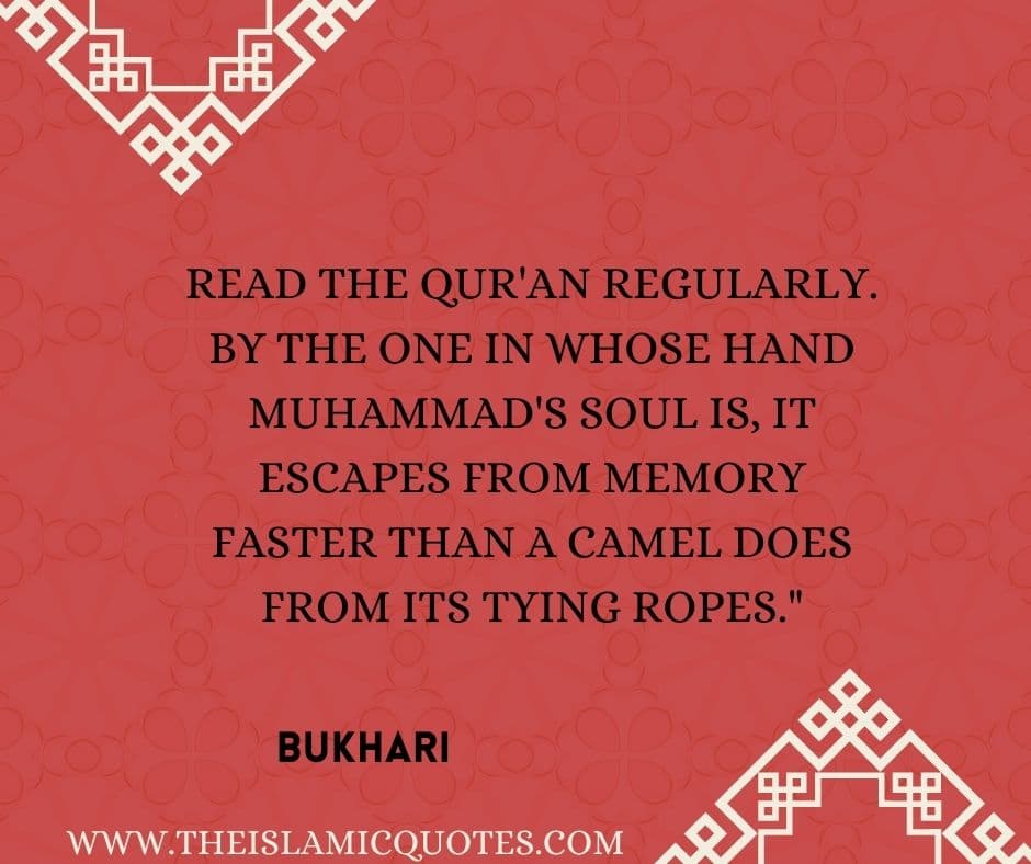 Tips to Memorize the Quran Easily