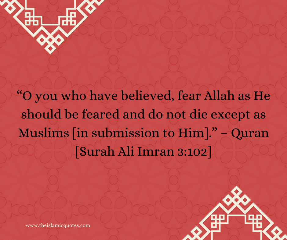 Fear Allah Quotes