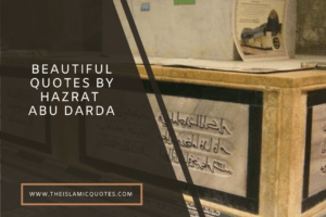 10 Islamic Quotes by Hazrat Abu Darda & His Wise Sayings  