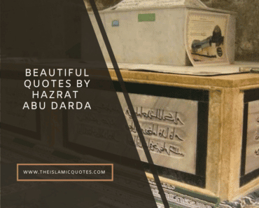 10 Islamic Quotes by Hazrat Abu Darda & His Wise Sayings  