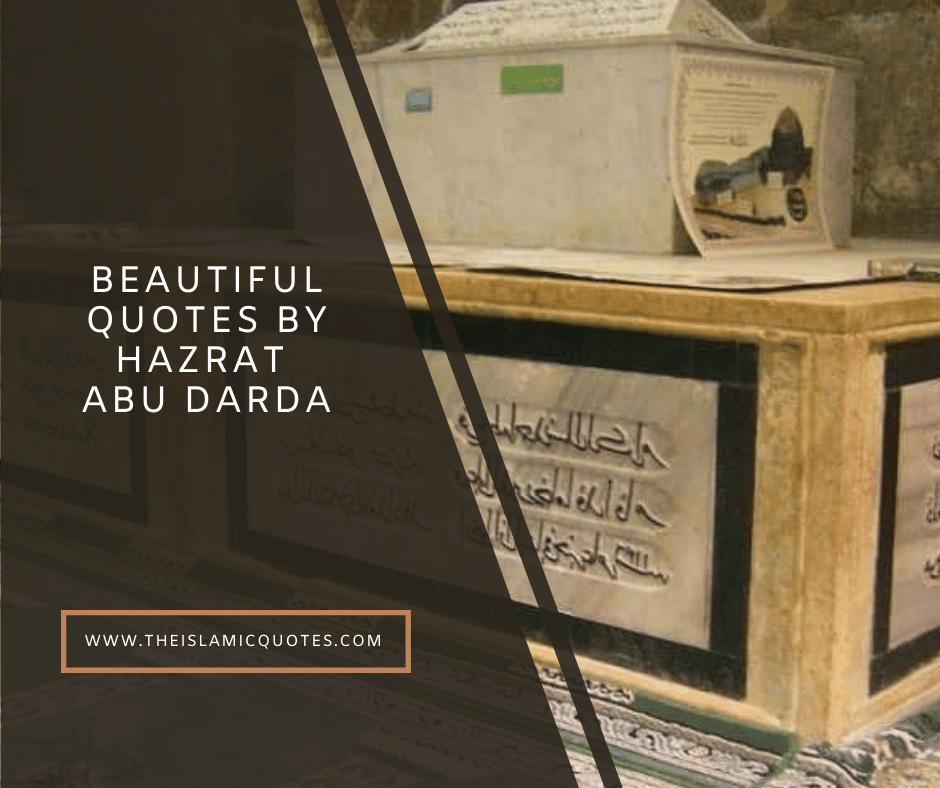 10 Islamic Quotes by Hazrat Abu Darda & His Wise Sayings  