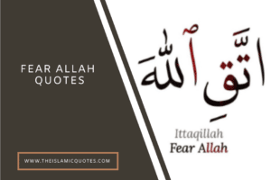 12 Fear Allah Quotes from the Quran and the Hadith  