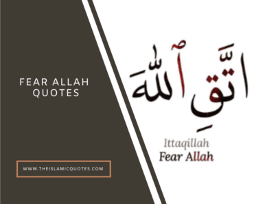 12 Fear Allah Quotes from the Quran and the Hadith  