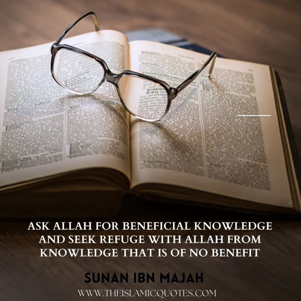 islamic quotes by ibn majah 