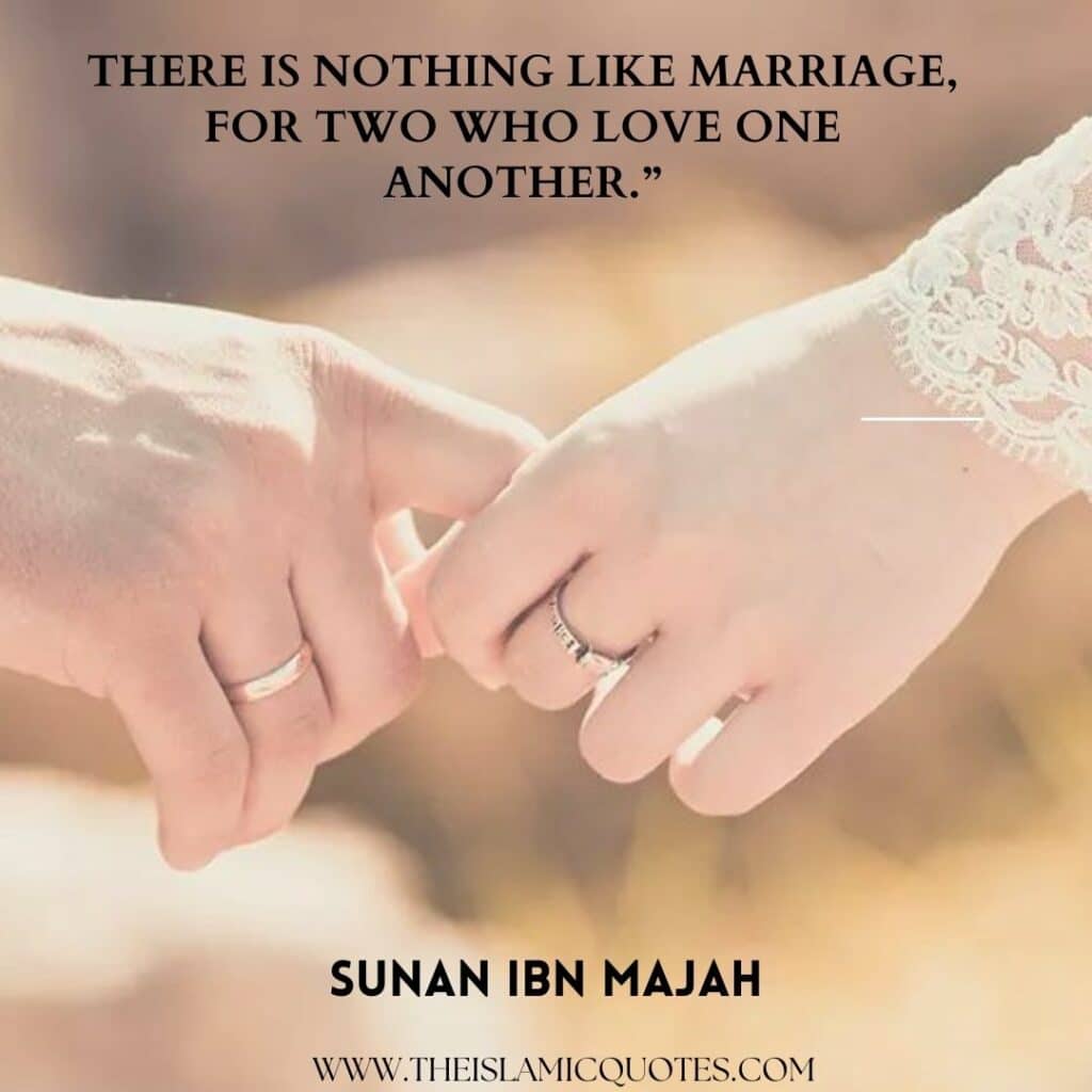 islamic quotes by ibn majah 