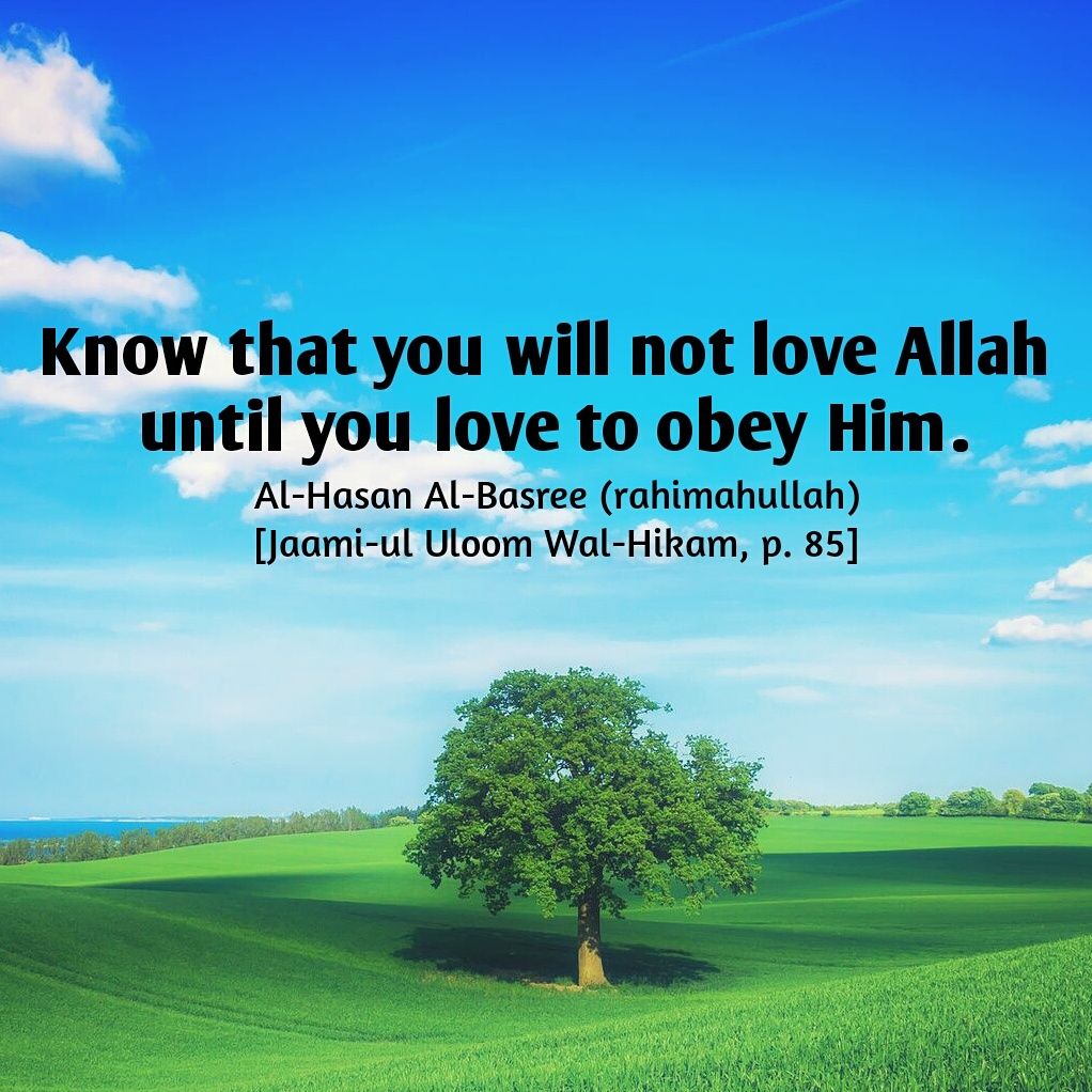 Motivational Islamic Quotes 