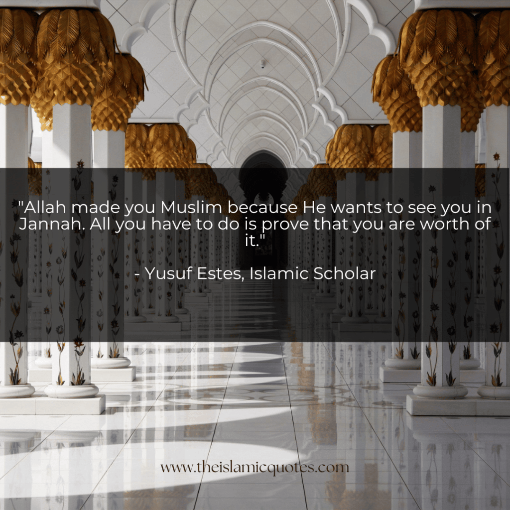 20 Yusuf Estes Quotes About Islam & Life as a Muslim  