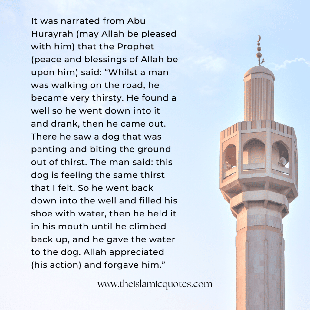 pets-in-islam