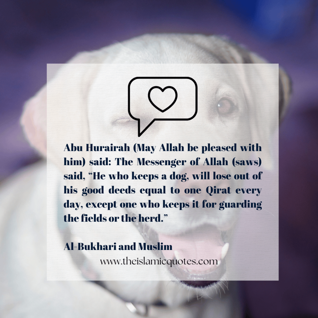 Pets in Islam - Complete Guide on What's Allowed & What's Not  