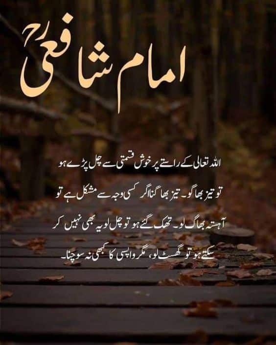 imam shafi quote in Urdu