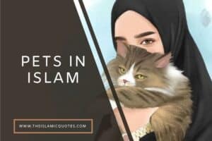 Pets in Islam - Complete Guide on What's Allowed & What's Not  