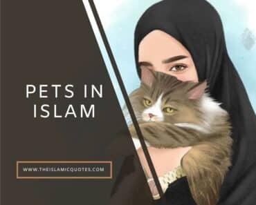 pets in islam