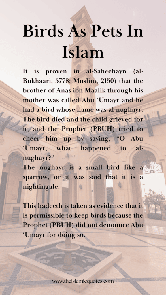 pets-in-islam
