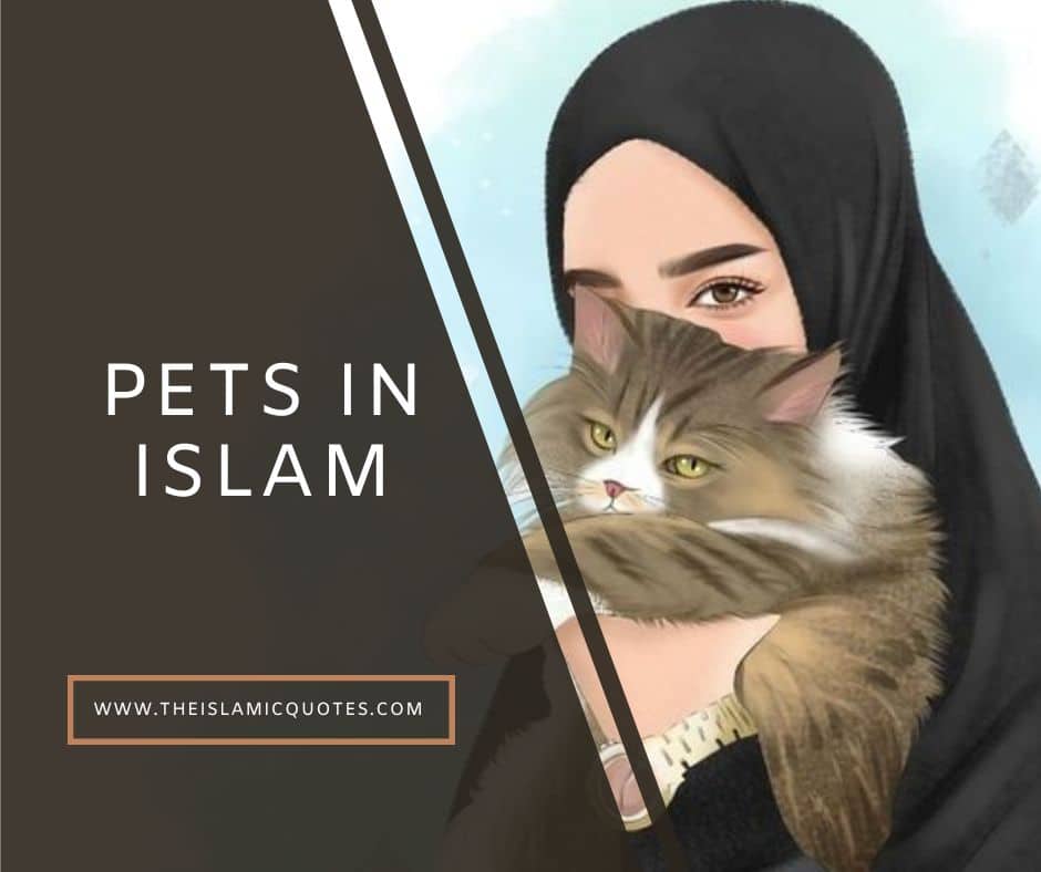 Pets In Islam Complete Guide On What s Allowed What s Not