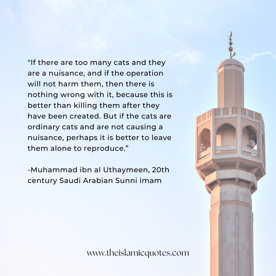 Pets in Islam Complete Guide on What’s Allowed & What’s Not