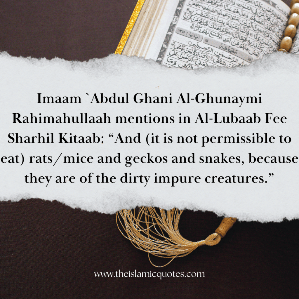 pets-in-islam