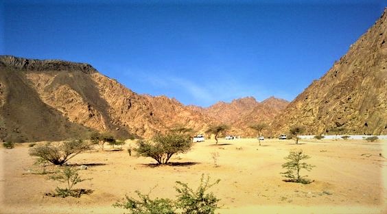 Top 10 Islamic Places To Visit In Madinah (Religious Sites)  