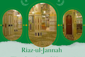 10 Facts About Riaz ul Jannah You Must Know Before Visiting  
