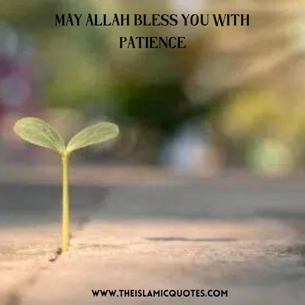 May Allah Bless You Quotes for Muslims (With Pictures  