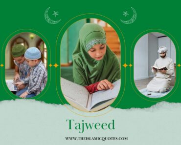 Importance of Tajweed: 6 Reasons To Learn Quran With Tajweed  