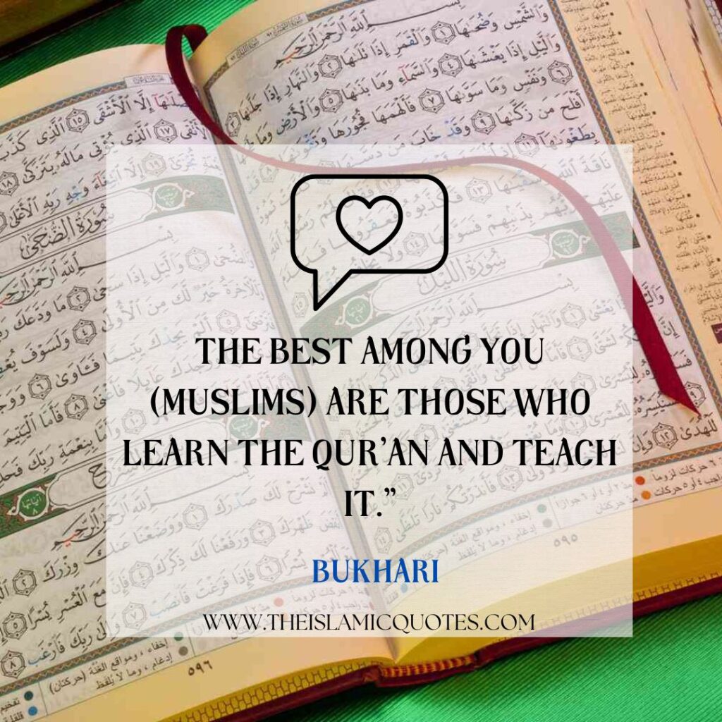 Importance of Tajweed: 6 Reasons To Learn Quran With Tajweed  