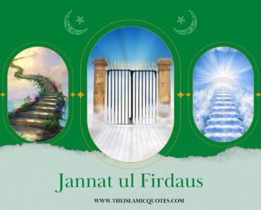 jannatul firdaus