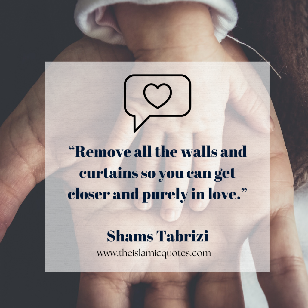 Top 10 Shams Tabrizi Quotes And Famous Sayings  