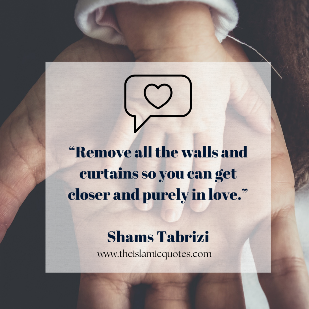 shams-tabrizi-quotes