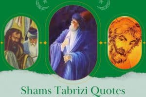 Top 10 Shams Tabrizi Quotes And Famous Sayings  