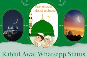 15 Rabi Ul Awal WhatsApp Status 2023 Eid Milad un Nabi ﷺ  