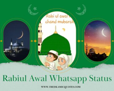 15 Rabi Ul Awal WhatsApp Status 2023 Eid Milad un Nabi ﷺ  