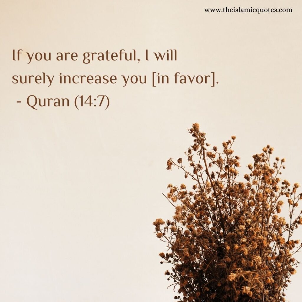 How to be a Thankful Muslim? 7 Tips on Gratitude  