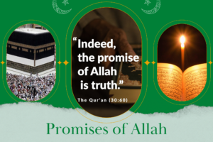 15 Promises of Allah from the Quran and Ahadith  