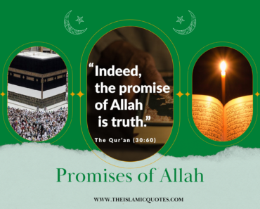 15 Promises of Allah from the Quran and Ahadith  