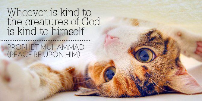 Islamic Quotes on Compassion & its Significance for Muslims  