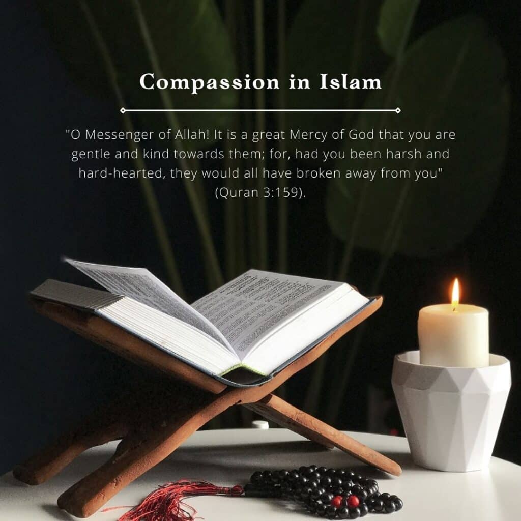 Islamic Quotes on Compassion & its Significance for Muslims  