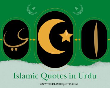 10 Beautiful Islamic Quotes in Urdu You Will Love  