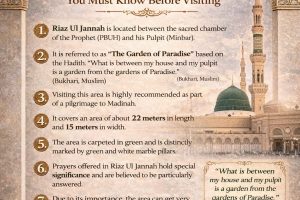 10 Facts About Riaz ul Jannah You Must Know Before Visiting