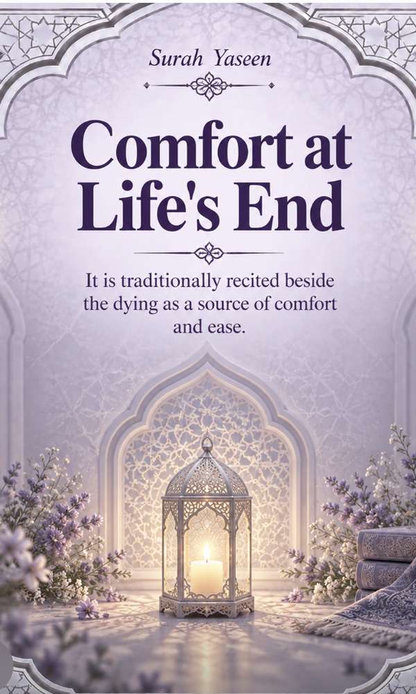 Comfort at Life's End